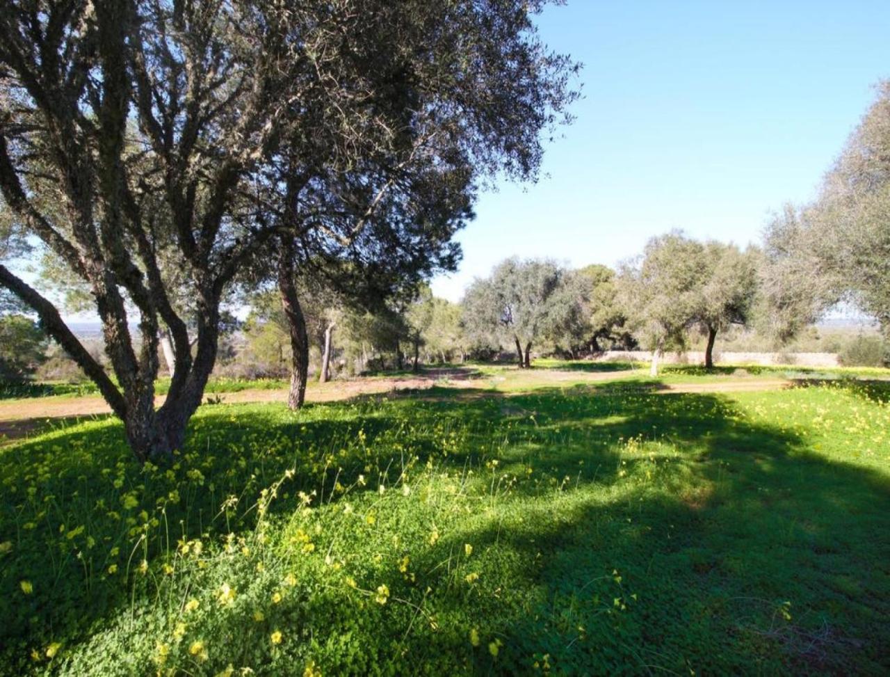 Villa Son Xota De Dalt