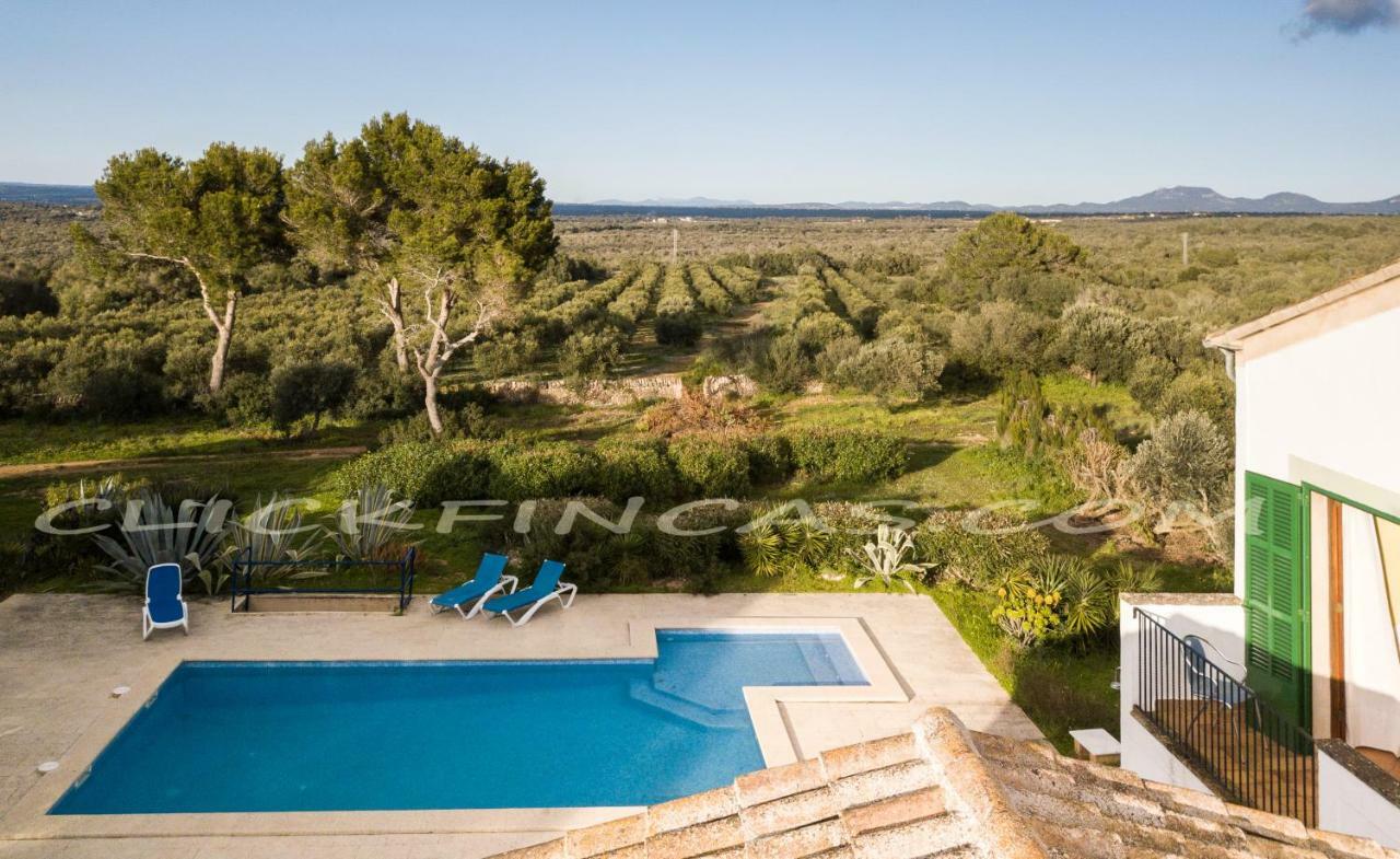 Son Xota De Dalt Villa Campos (Mallorca)