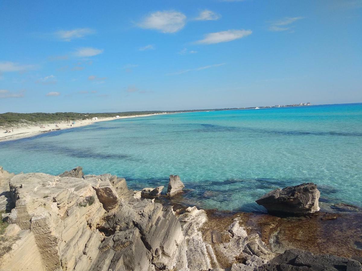 Son Xota De Dalt * Campos (Mallorca)