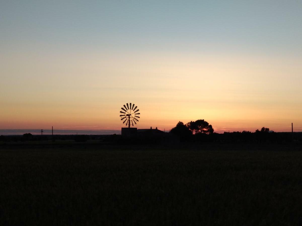 Son Xota De Dalt Campos (Mallorca)